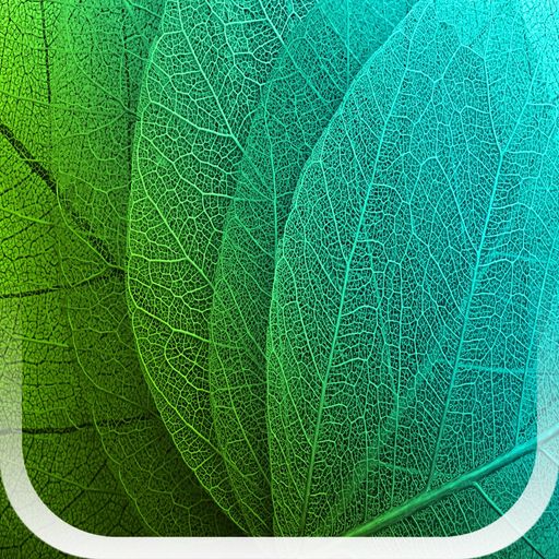 Plants Disease Identification app icon