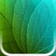 Plants Disease Identification icon