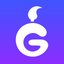 Ginih icon