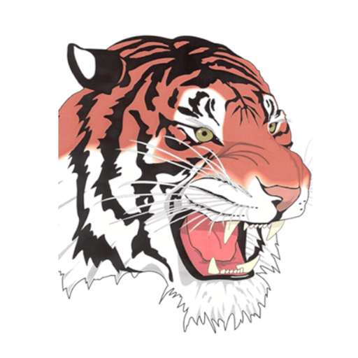 Mansfield City Schools Tygers app icon