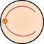 BIO Camera icon