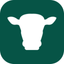 HerdVision icon