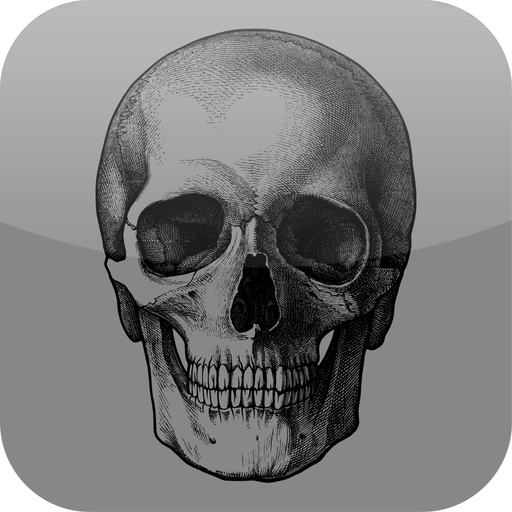Daily Death app icon