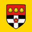 UoR Student icon