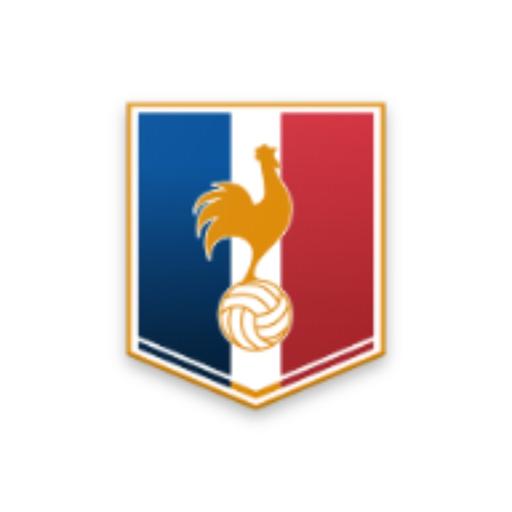 French Soccer live app icon