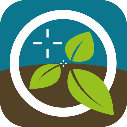 ROM app icon