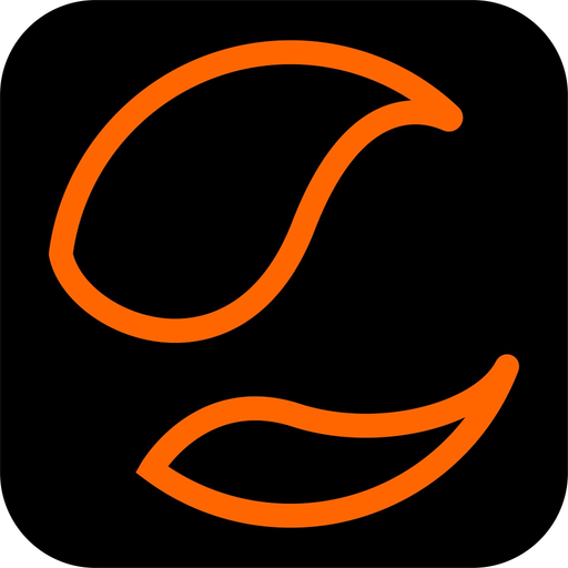 Staneg app icon