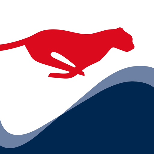 FLS MOBILE FLOW EDITION app icon