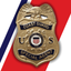 CGIS TIPS icon