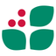 Wintergreen Resort icon