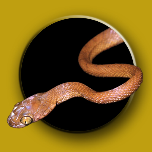 Australian Snake ID app icon