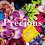 Precious K icon