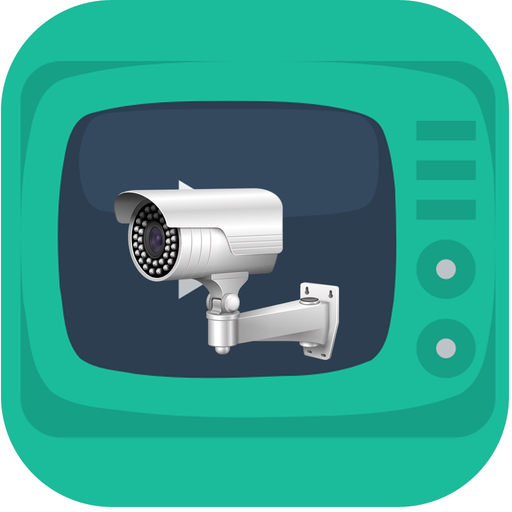 Live Cam New York app icon