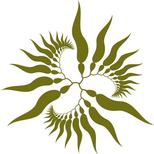 Sargazo app icon
