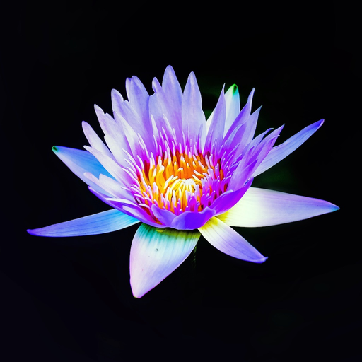 Black Wallpapers HD 4K app icon