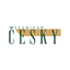 Podnikám Česky icon