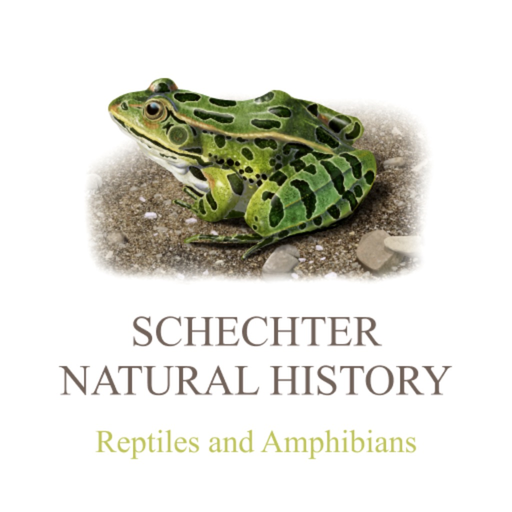 Reptiles & Amphibians of NA app icon