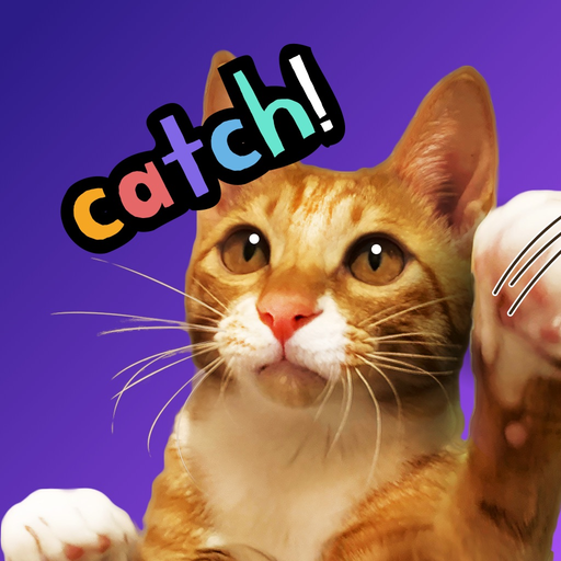 Cat Play Zone app icon