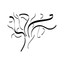 TorahTV: Study, Do, Listen icon