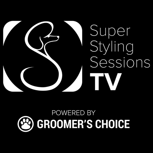 Super Styling Sessions TV app icon