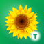 Plant Life - Science for Kids icon