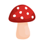 Shroomify - Mushroom ID icon