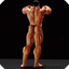 Iron Muscle Bodybuilding game icon