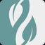 Salufast icon
