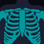 First FRCR Anatomy icon