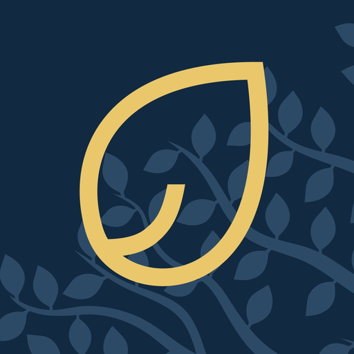 Eiwa app icon