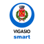 Vigasio Smart icon