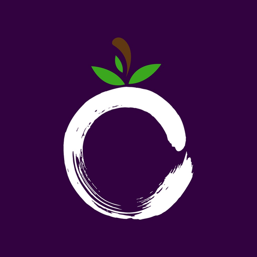 Vibe Foods Rewards app icon