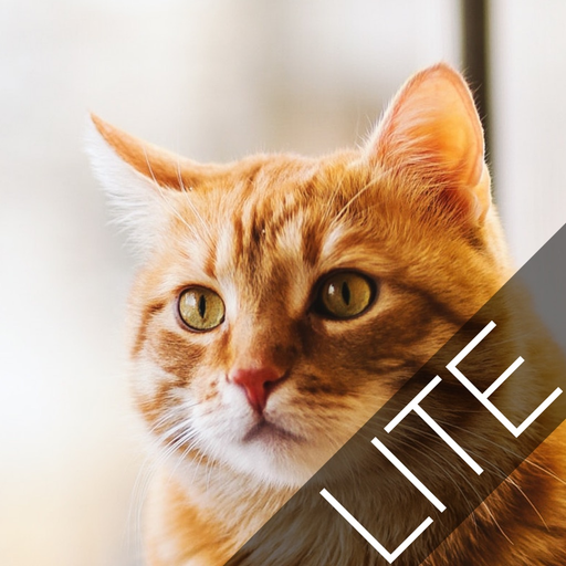 CatCrosswordLite app icon