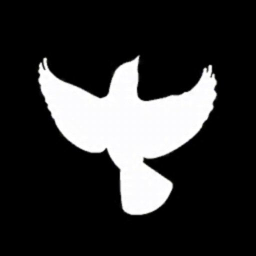 Crystal Asfour AR app icon
