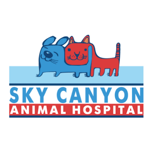 Sky Canyon AH app icon
