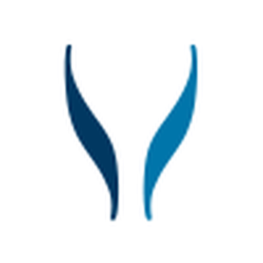 Synergie app icon