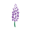 Glenwild Golf Club icon