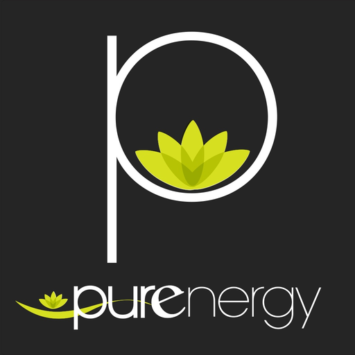 Purenergy Studio app icon