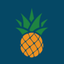 Pineapple HRM icon