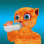 Help Cat icon