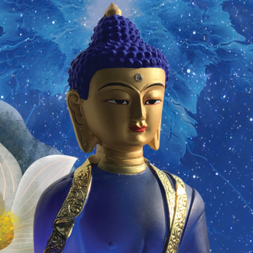 Chữa Bệnh Theo Chu Dịch app icon