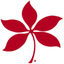 OSUWMC Bravo icon