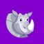 RYN VPN: Secure Ray VPN Master icon