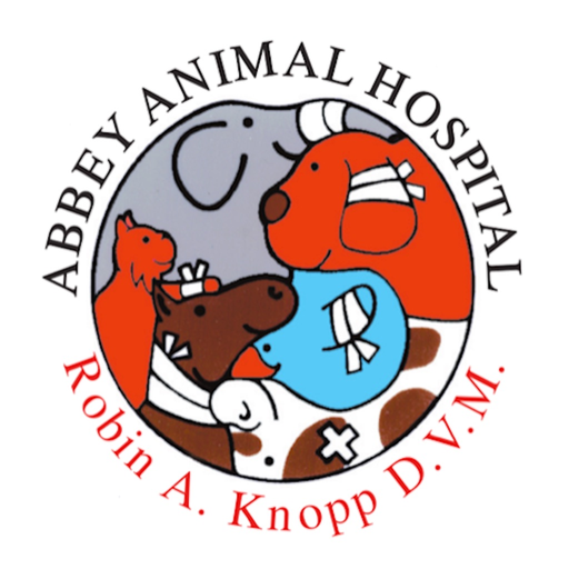 Abbey AH app icon