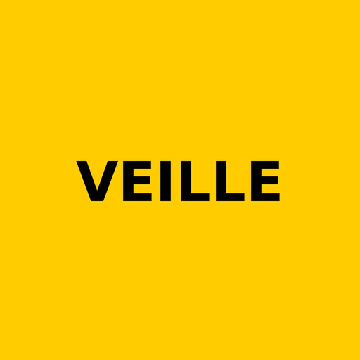 Veille vidéosurveillance app icon
