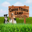 Canine Fitness Camp icon