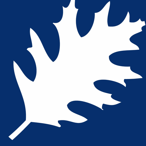 Relyance Bank Commercial app icon