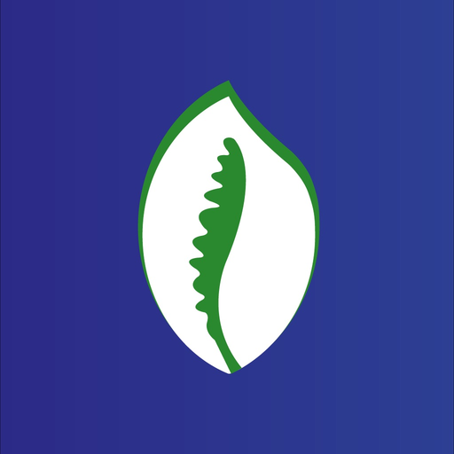 Danaya PAY app icon