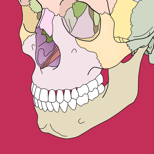 Body coloring book app icon