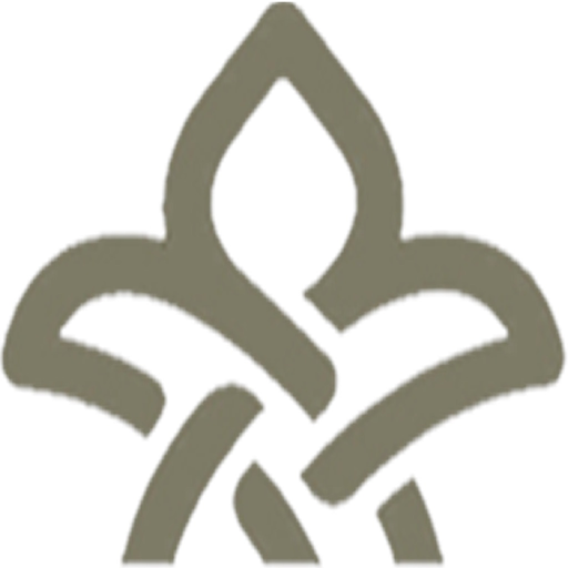 Palatine Travel Live app icon